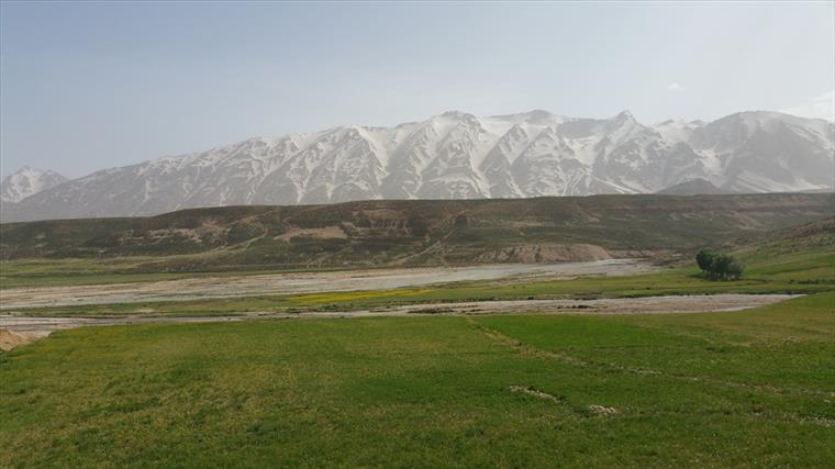 زردکوه بختیاری