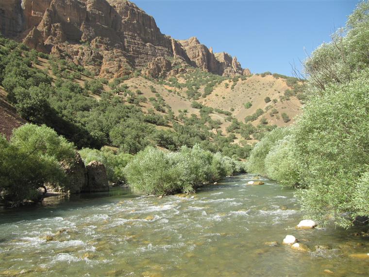 طبیعت روستای خوش میوه