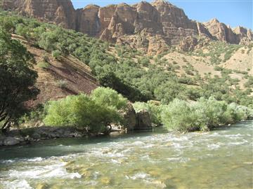 طبیعت روستای خوش میوه