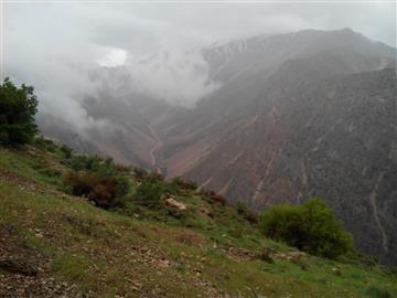 پیوند آسمان و زمین