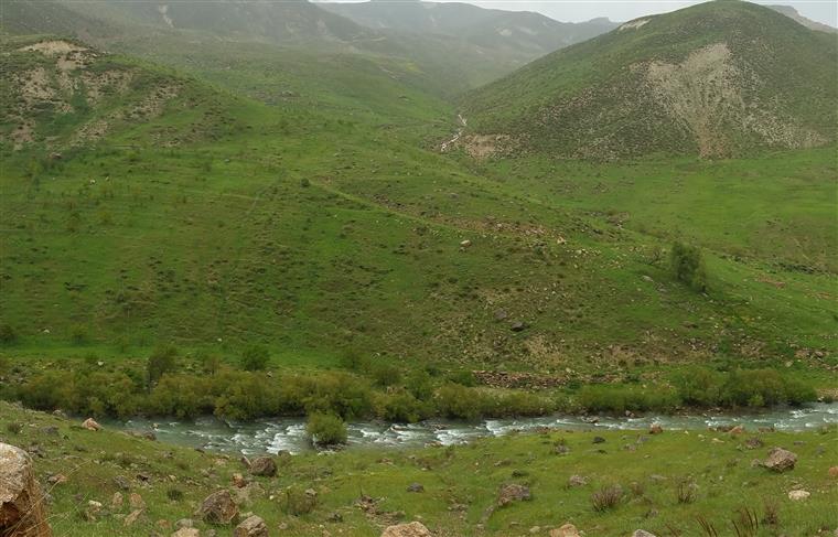 سبزین کوه