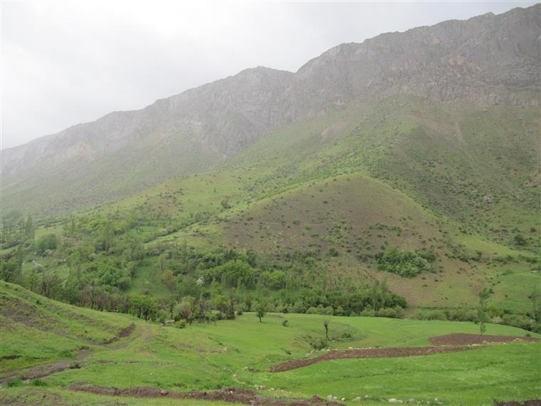 مراتع و مزارع روستای بهرام آباد