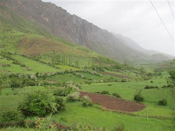 مراتع و مزارع روستای بهرام آباد