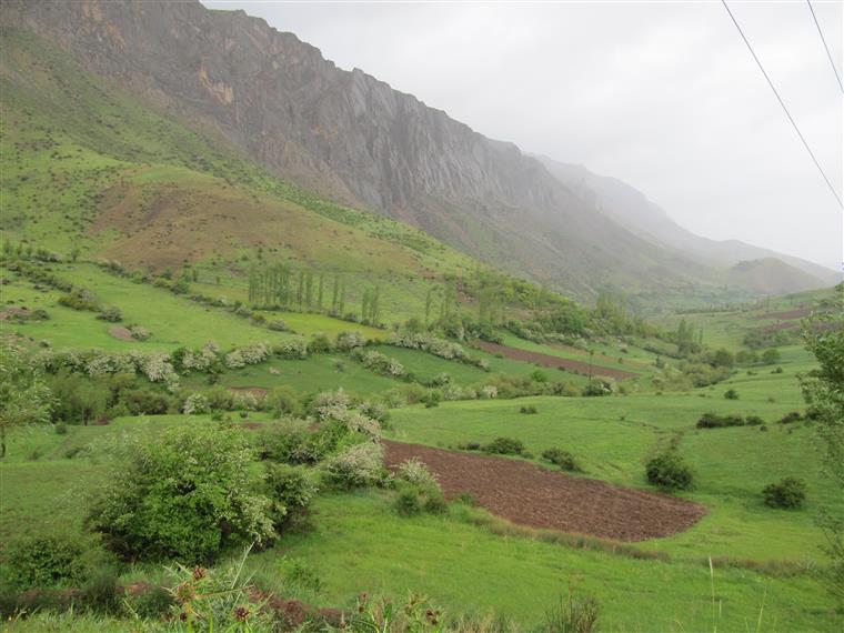 مراتع و مزارع روستای بهرام آباد