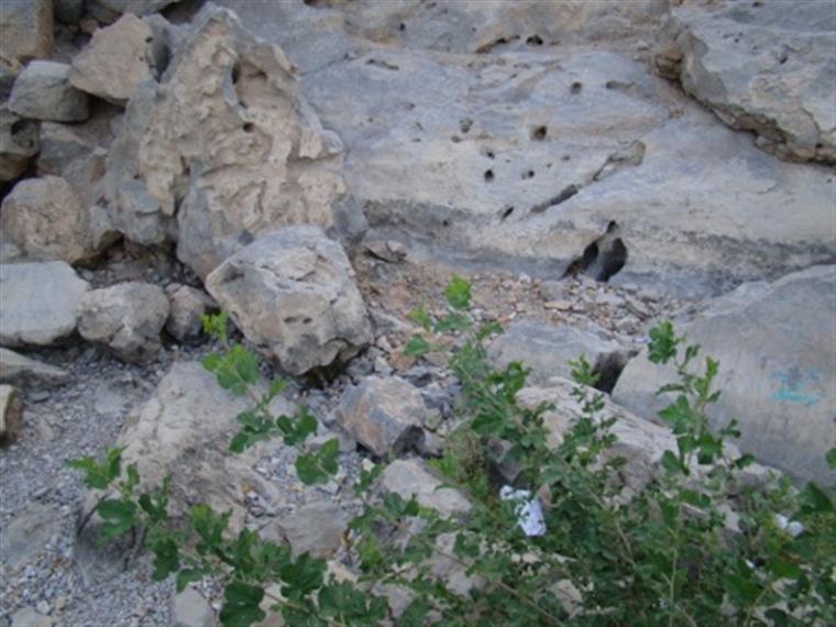 چشمه غربالبیز و خشکسالی