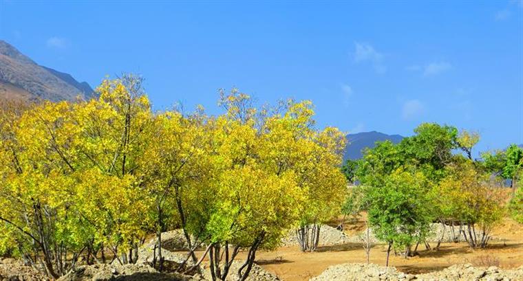 حضور پررنگ پاییز در روستای خان آباد