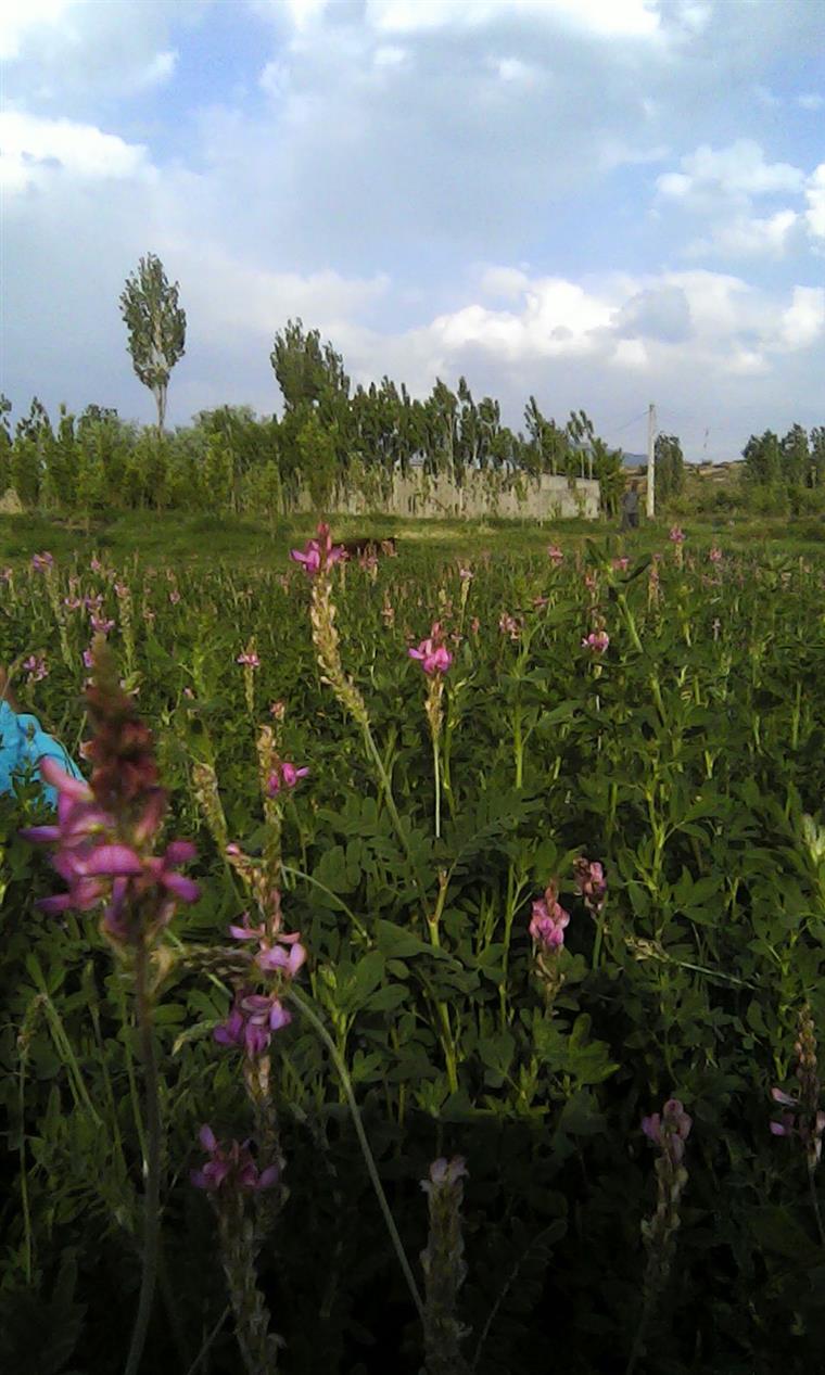 طبیعت  روستای فراش ساردو