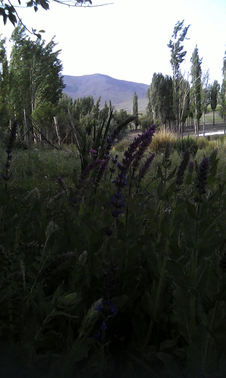 طبیعت  روستای فراش ساردو