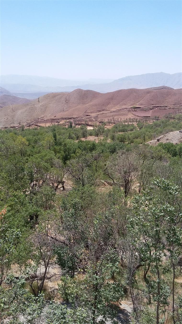 معرفی روستای جورقین