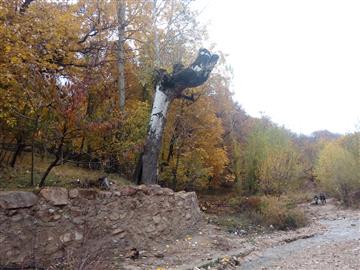 طبیعت زیبای روستای اسفیدان