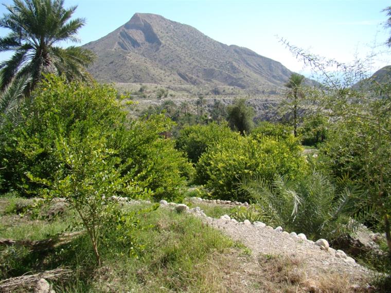 روستای گردشگری جغان -تخت - هرمزگان