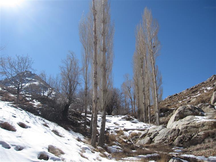 خدا در روستای ماست...