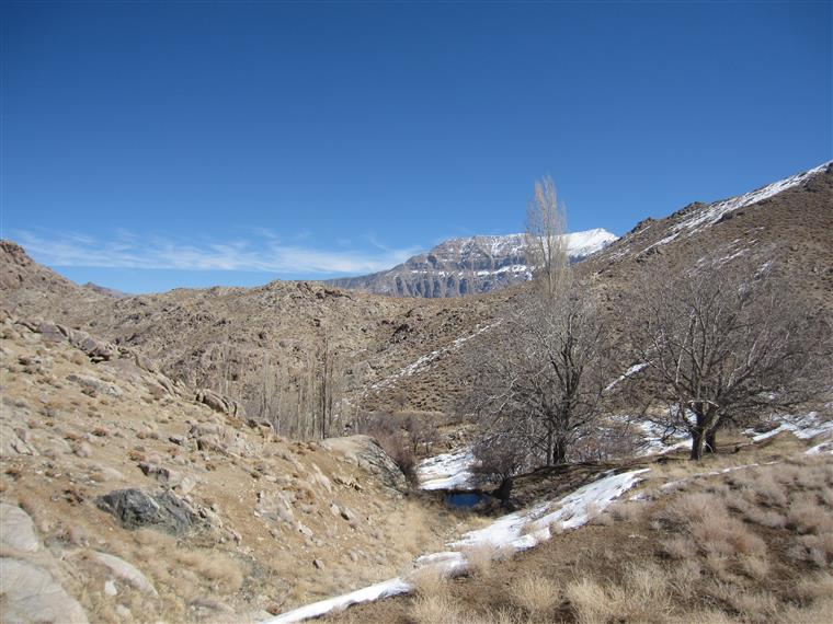 خدا در روستای ماست...