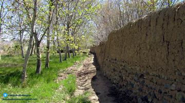 کوچه باغ روستای افوشته