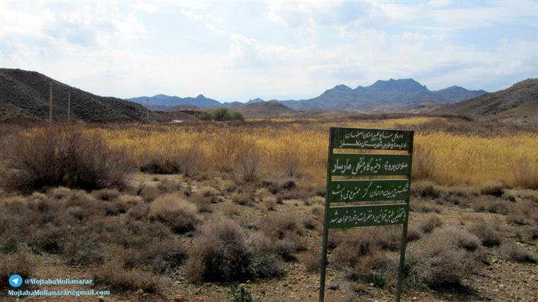 روستای مارسار