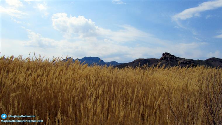 روستای مارسار