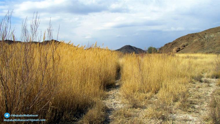 روستای مارسار