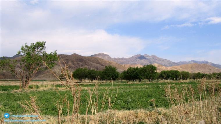 روستای شورغستان