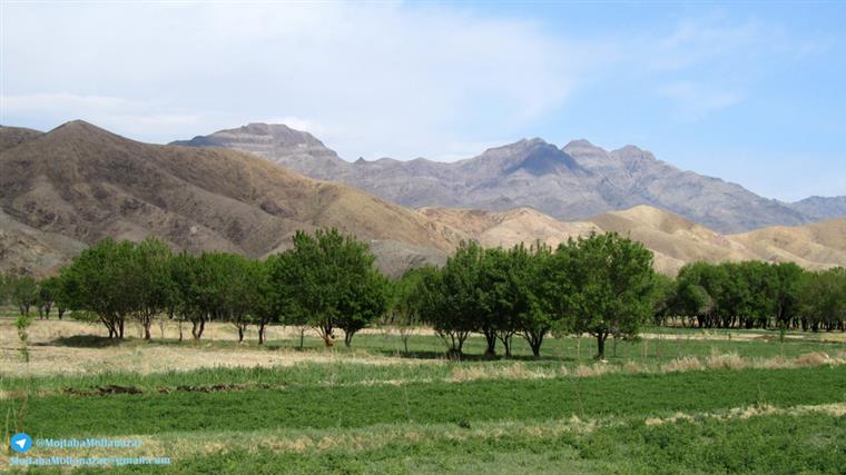 روستای شورغستان