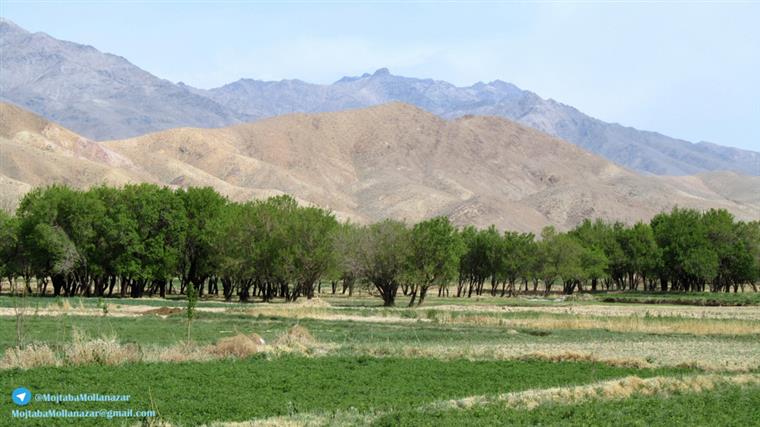 روستای شورغستان