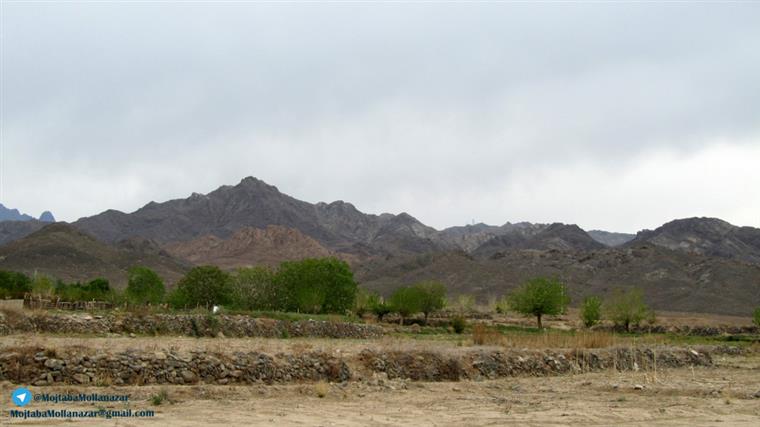 روستای جاریان