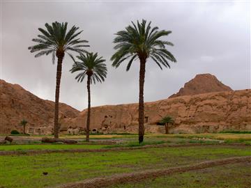 روستای ازمیغان طبس گلشن