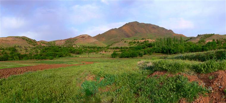 روستای کلاته سری - سرفریز