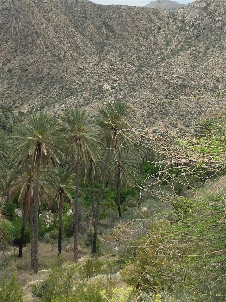 روستای هماگ هرمزگان