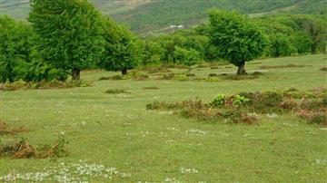 روستای پش