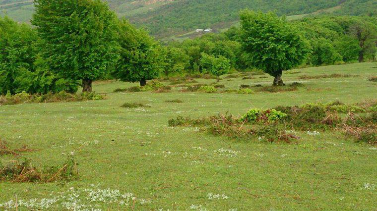 روستای پش