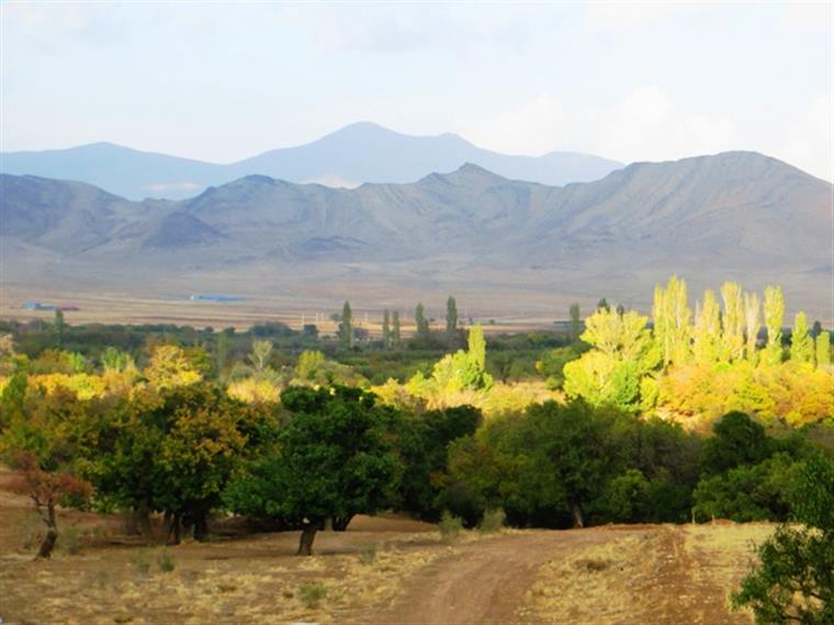 بانوان ارزشمند و سرمایه های انسانی در عرصه هنر و فرهنگ این مرزو بوم