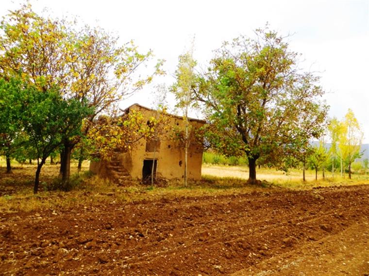 بانوان ارزشمند و سرمایه های انسانی در عرصه هنر و فرهنگ این مرزو بوم