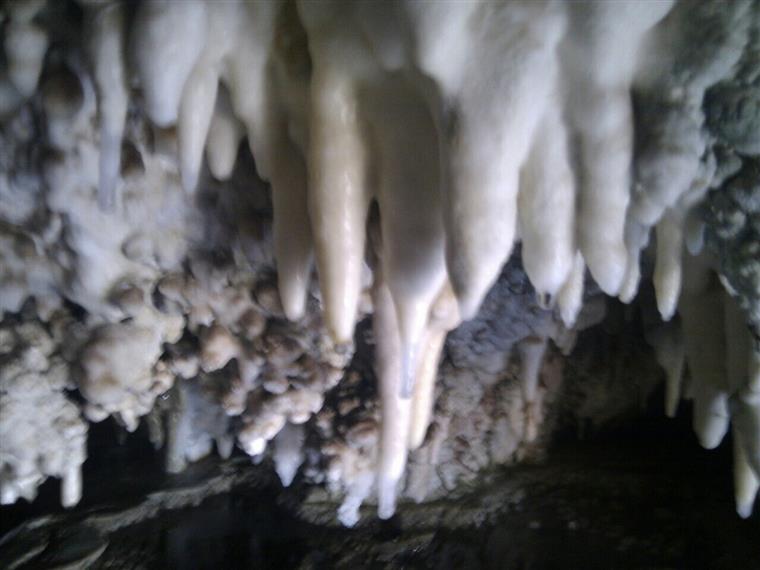 غار نباتی ندوشن