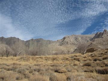 زیبایی زمستان