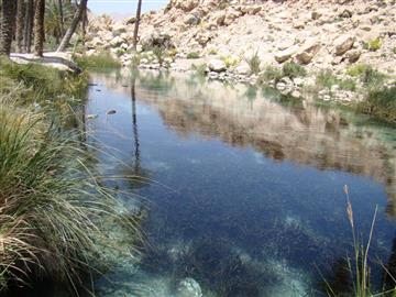 چشمه سبز پوشان