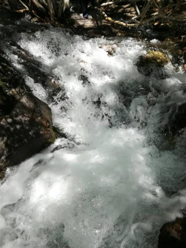 آبشار راین ( زرد رود)