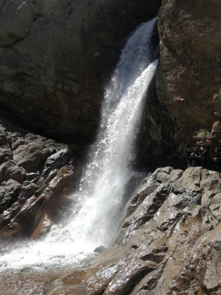 آبشار راین ( زرد رود)