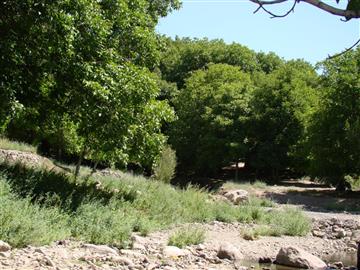 روستای بیدخون