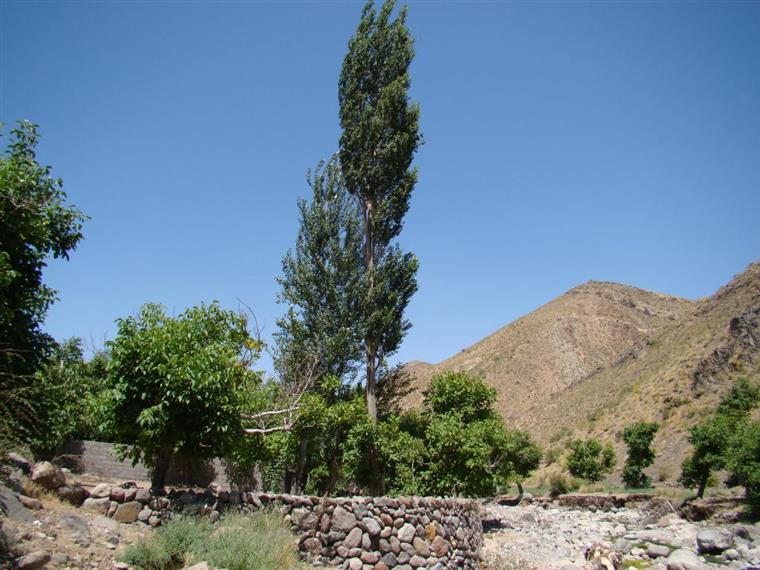 روستای بیدخون