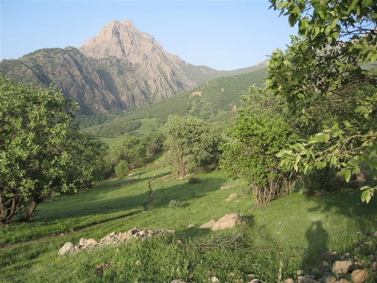 کوهستان قارون لرستان