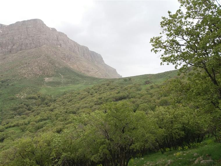 گردنه رنگینه پریزکوه دورود