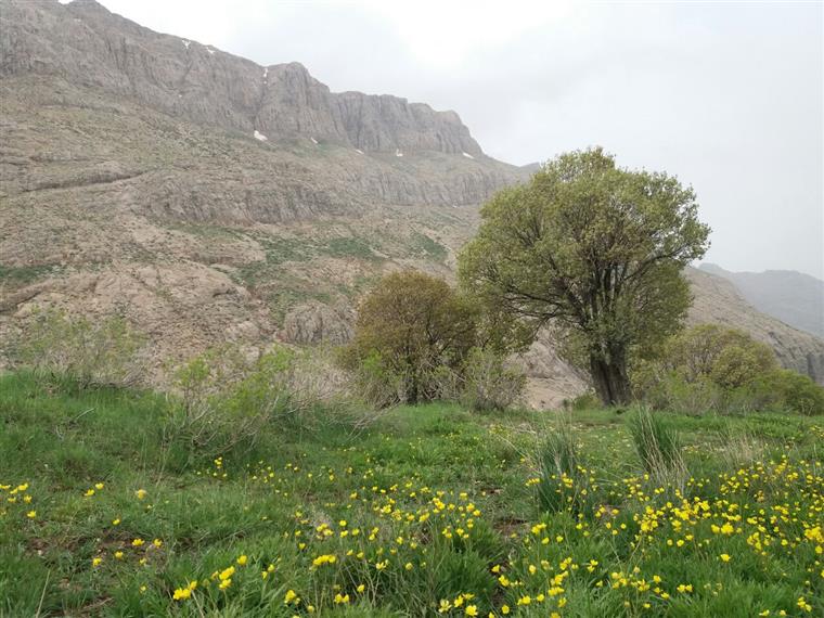 گردنه رنگینه پریزکوه دورود