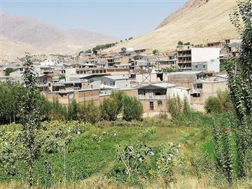 قطب تولید خیار و خیار شور ایران