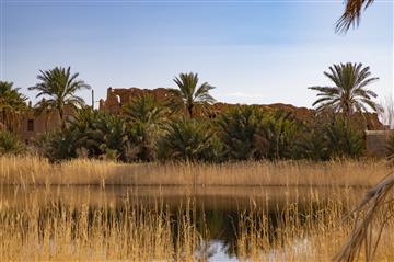 قلعۀ ساسانی گرمه