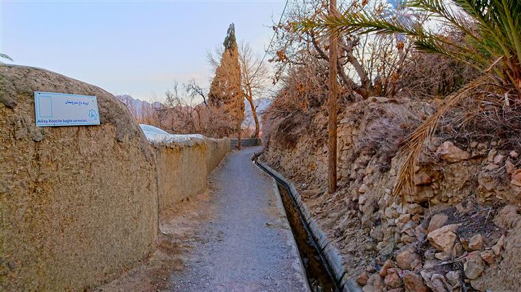 سرو کهن ایراج