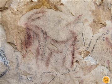 رنگین نگاره های pictographs  بزکوهی Ibex در غارهای کوهدشت لرستان