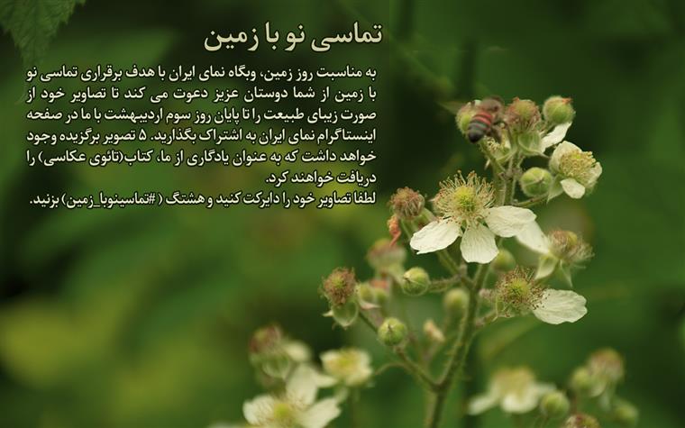 تماسی نو با زمین