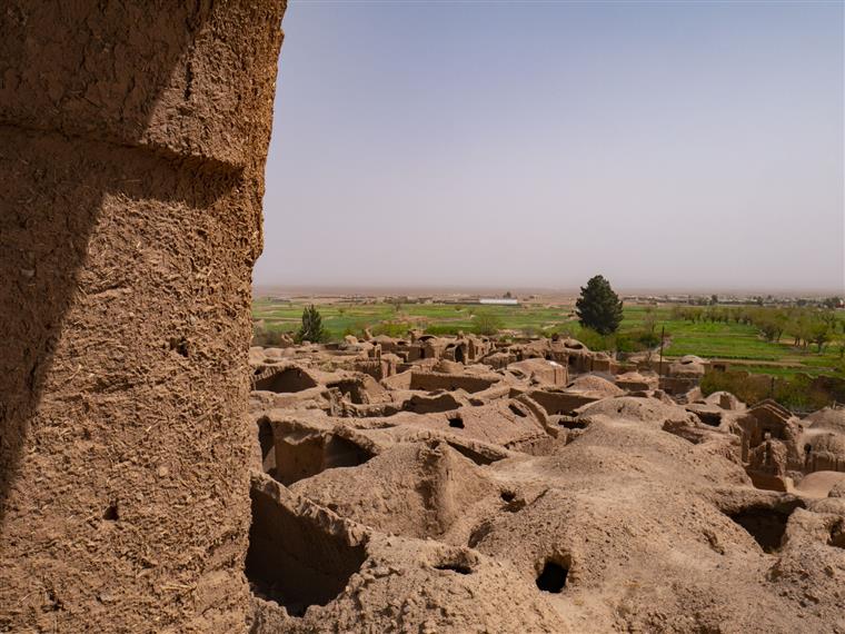 دوهوک