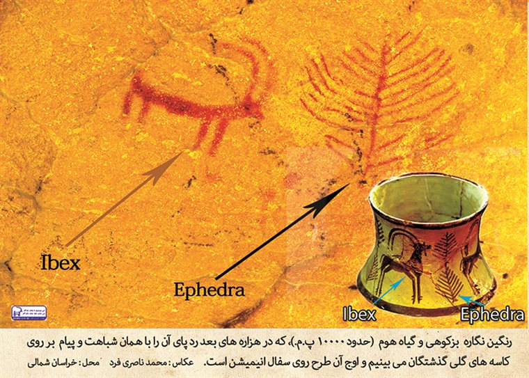 چرایی و اسرار گیاه هوم، همراه با طرح بزکوهی در ایران باستان
