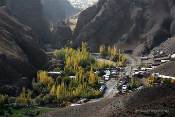 بلده - زردکمر